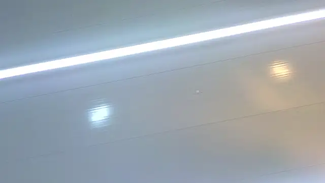 Sebastian_Vegan Webbikameraesitys