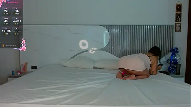 SkyFox_11 webcam show