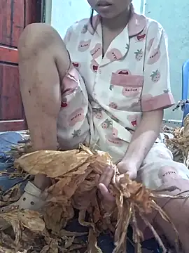 Mey_mey2k3 网络视讯表演
