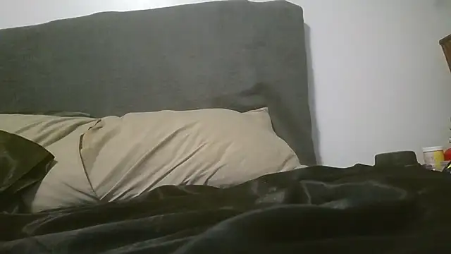 kypnpvers Show Webcam