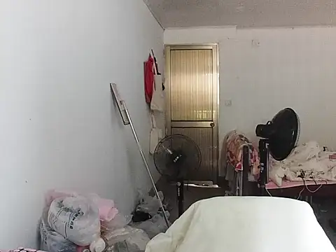 RebelAura 网络视讯表演