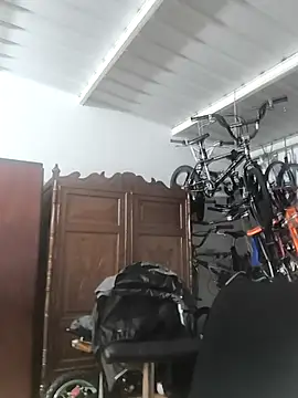 RejoinedLescol Webcam-Show