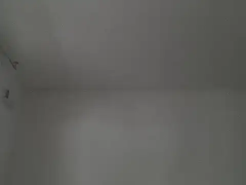 captainckring ওয়েবক্যাম শো