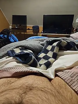 sste1n's Webcam Show