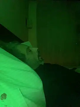Petebulimia webkamerás műsora