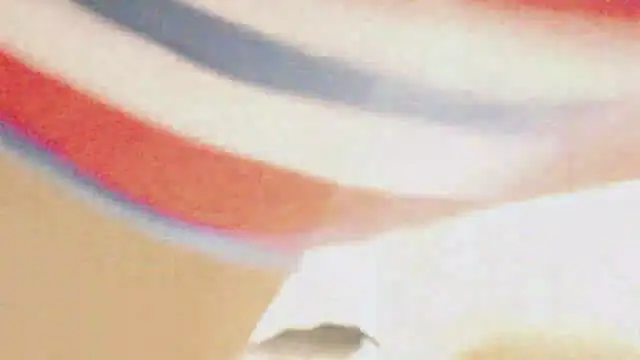 -Natsのウェブカメラショー
