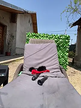 Živý XXX chat Siena_Amaris