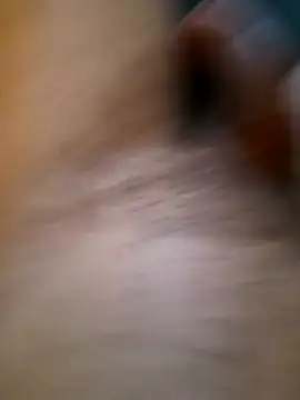 عرض كام EgyptianHorse