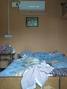Chat XXX Live HotRod-India