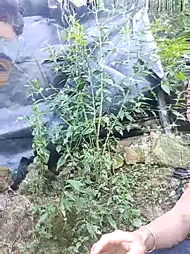 mary-cor's Webcam Show