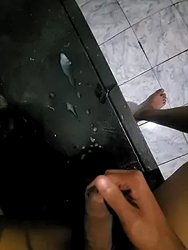 padelpan Webbikameraesitys