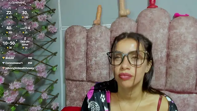 Show webcam de cloyks