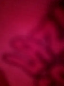 ChuckyyDee Chat XXX live