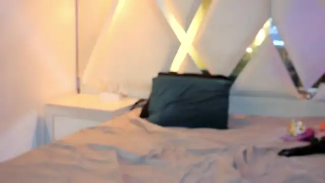 MeelFox Show Webcam