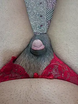 Sissydoggy 在線直播表演