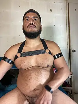 Chat XXX ao vivo de the_master_foal_