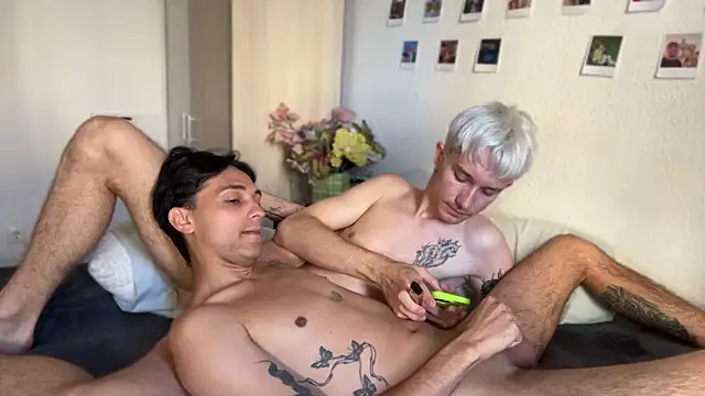 عرض كام AlphaTwinks