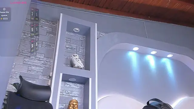 Show webcam de dominic_de_luca