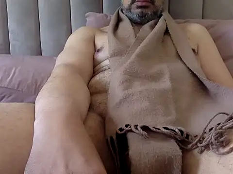 عرض كام CaiBull