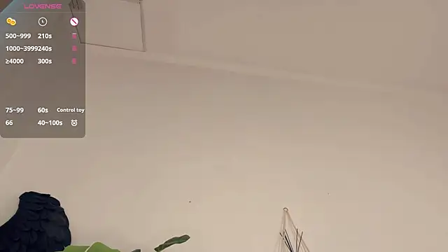 LaureMestler webkamerás műsora