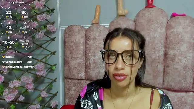 Show Webcam de cloyks