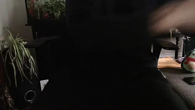 EspanolVato's Webcam Show