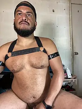 عرض كام the_master_foal_
