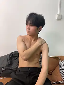 xf-666n Webbikameraesitys