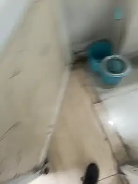 Show Webcam de Kakabiraji