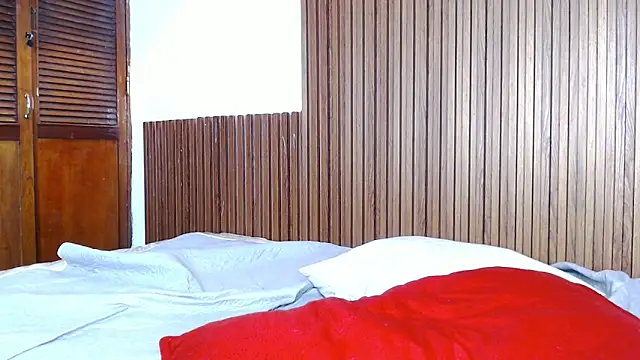Show Webcam de galactica_
