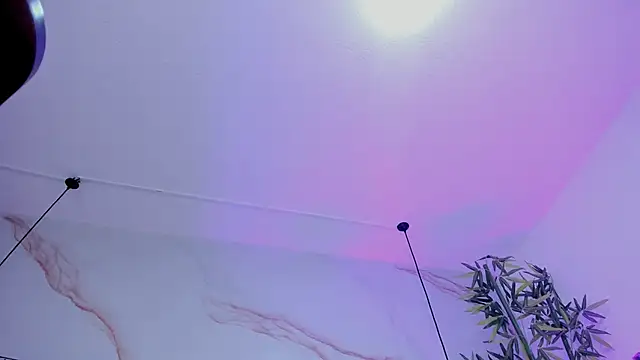 Ibbie_drastic's Live XXX Chat