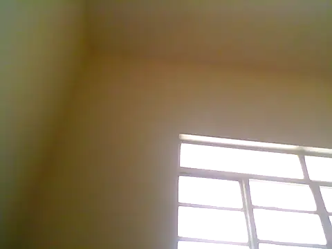 Show de Psvsecreto na webcam