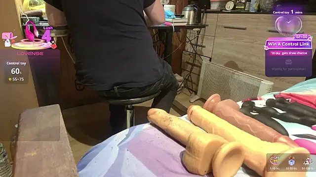 Show webcam de misteryman1956