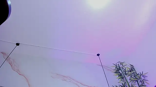 Ibbie_drastic 现场XXX聊天