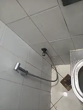 عرض كام Stallionbull37
