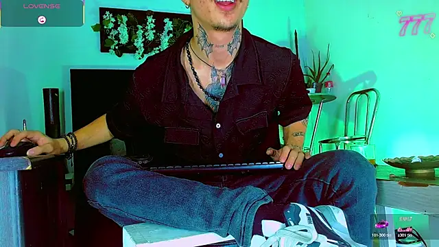 Show webcam de HannibalLester