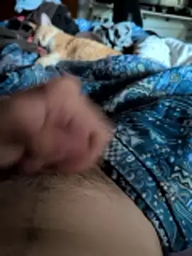 pitoco56 webcam show