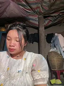 beobeo_2xx 网络视讯表演