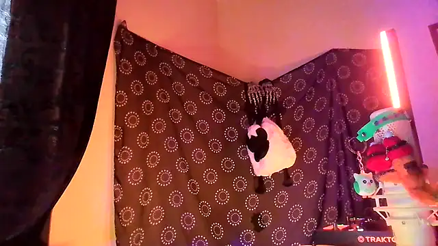 Show webcam de Guyst049