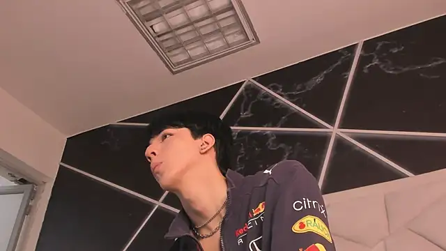 Show webcam de AerumChae