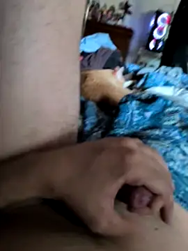 pitoco56n Webbikameraesitys