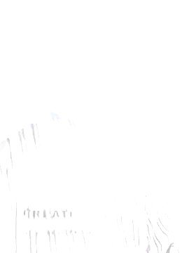 guozuo Webcamshow