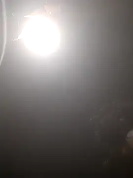 rdxsaad53 网络视讯表演
