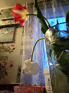 Vuittonn Webbikameraesitys