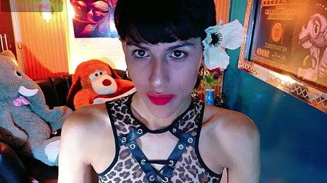 Show modela Evans_Robinson na web-kameri