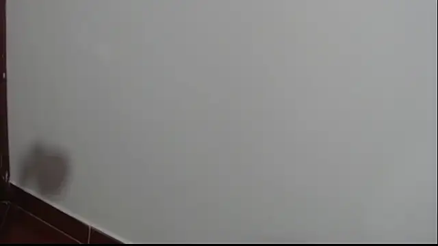 Chat +18 de sex_couple_horny ao vivo