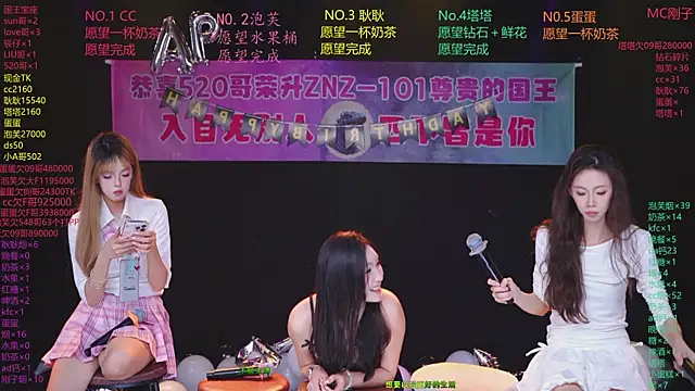 ZNZ-101 网络视讯表演