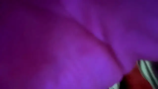 LintLiqour Show Webcam