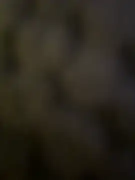 anonimgirl18old – Naživo XXX chat