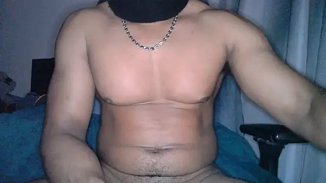 Metisse-BBC Webcam show